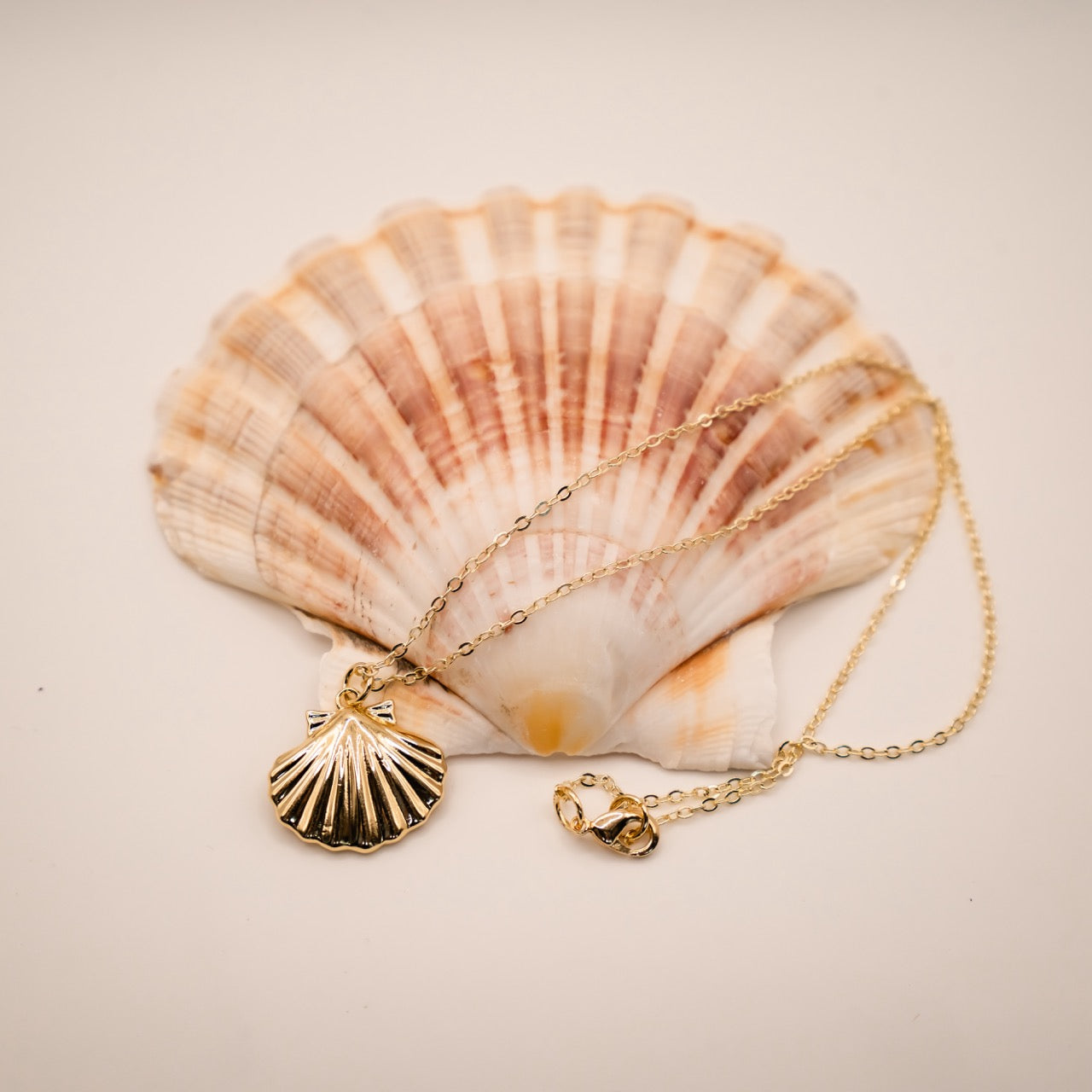 14k Gold Filled Clam Necklace
