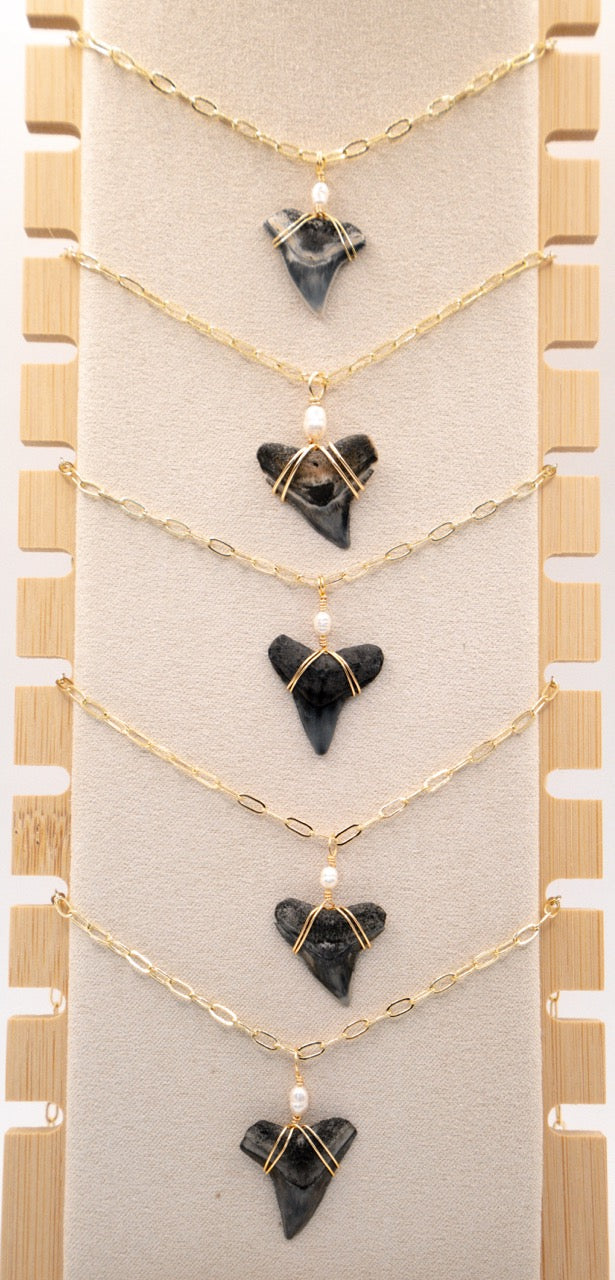 Shark Tooth Necklace w/ Freshwater Pearl
