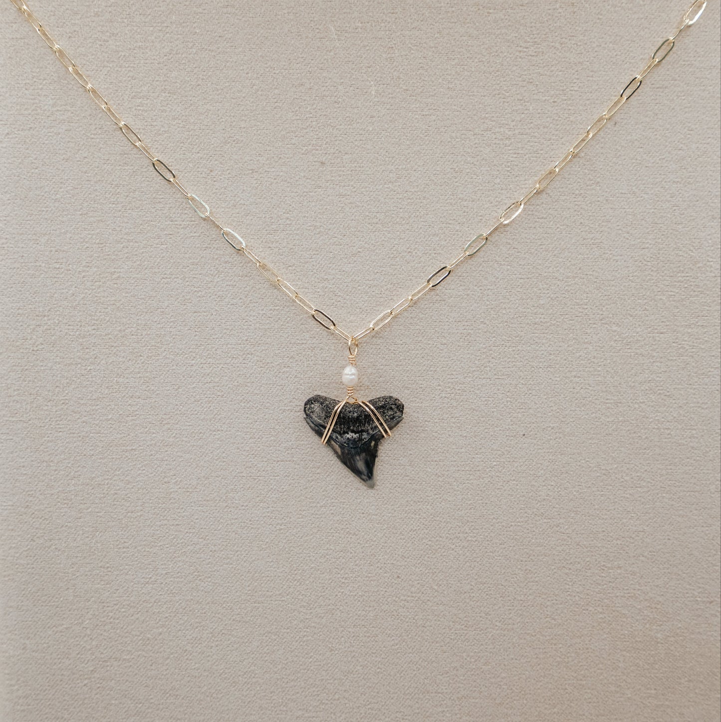 Shark Tooth Necklace w/ Freshwater Pearl
