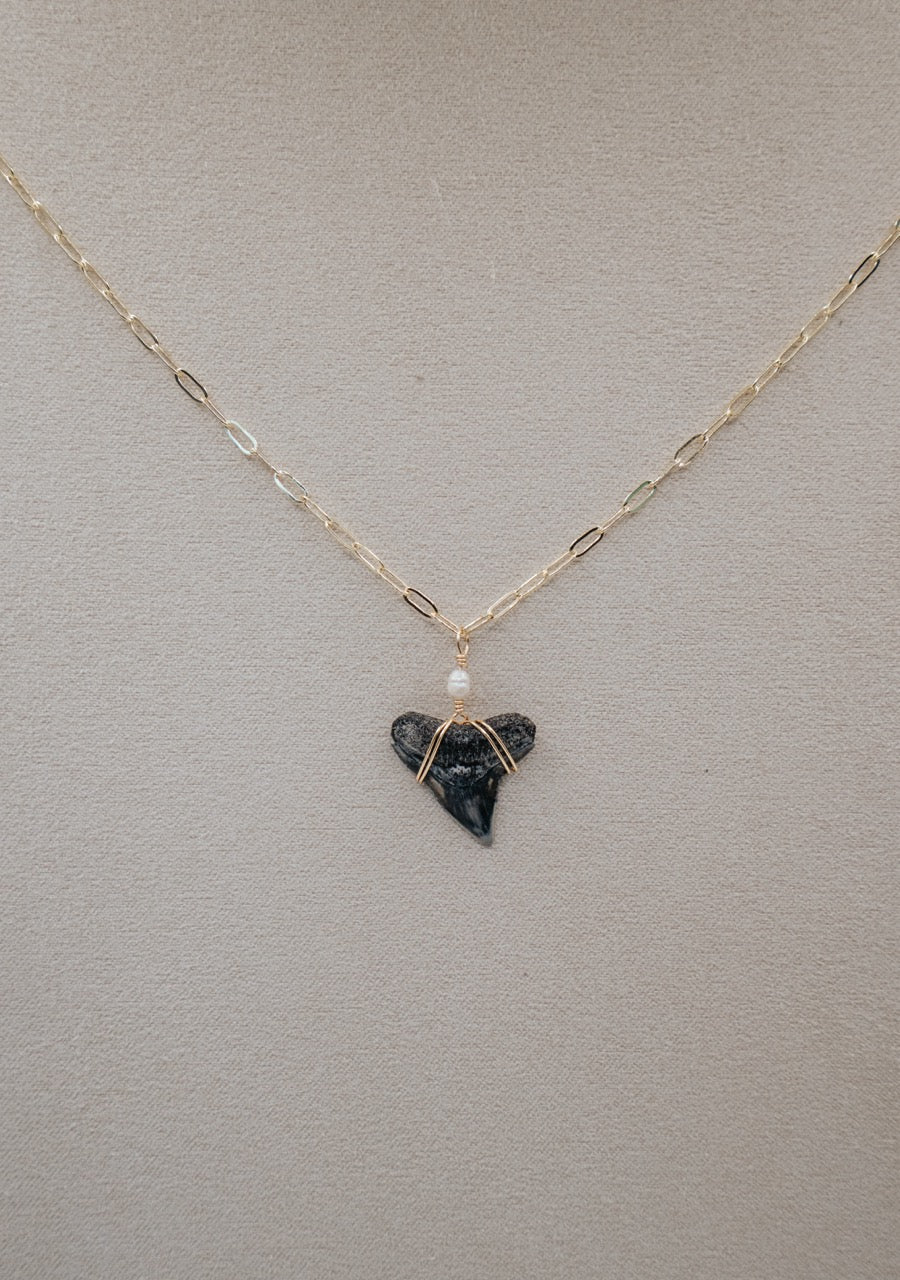 Shark Tooth Necklace w/ Freshwater Pearl