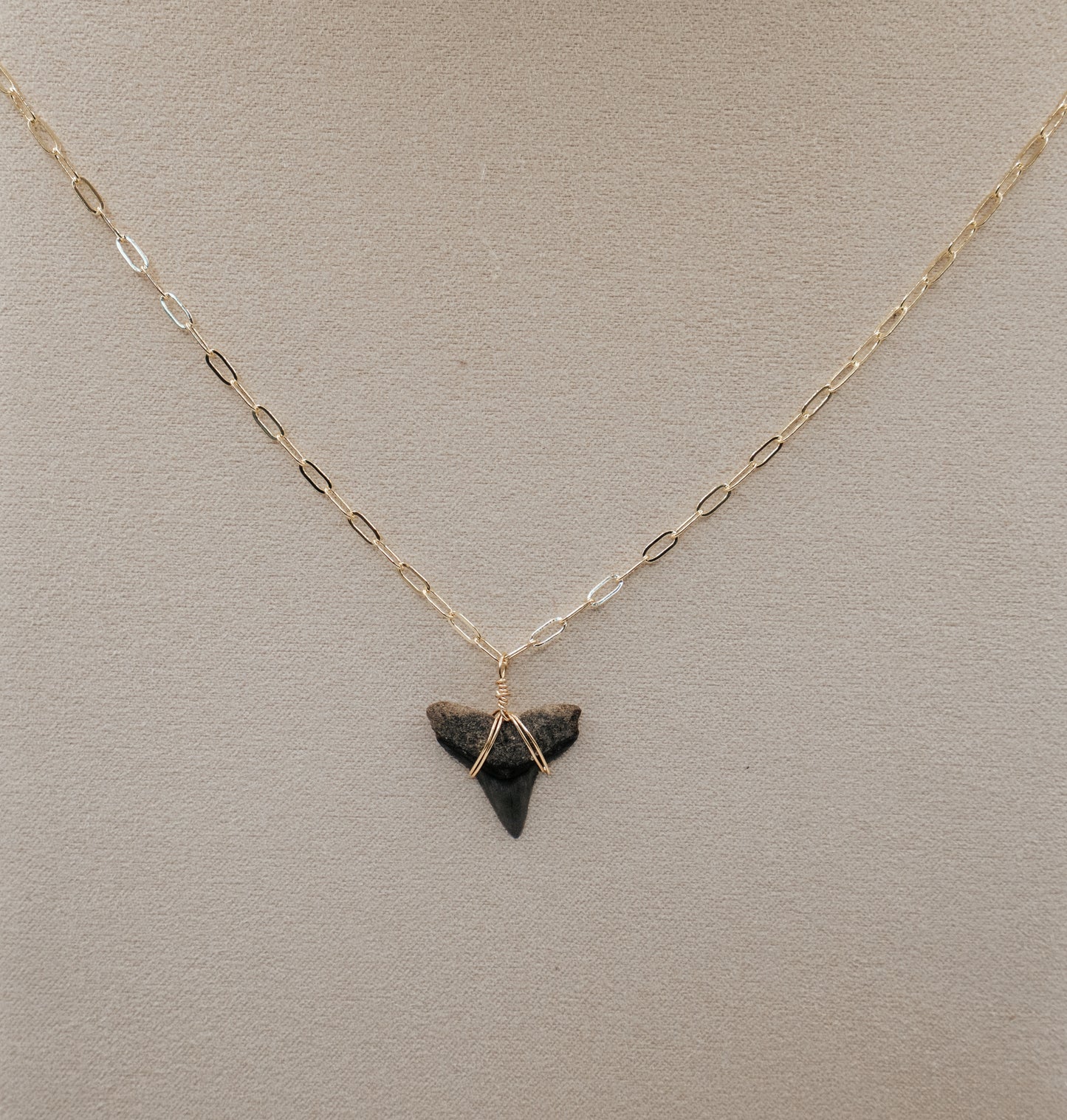 Shark Tooth Necklace