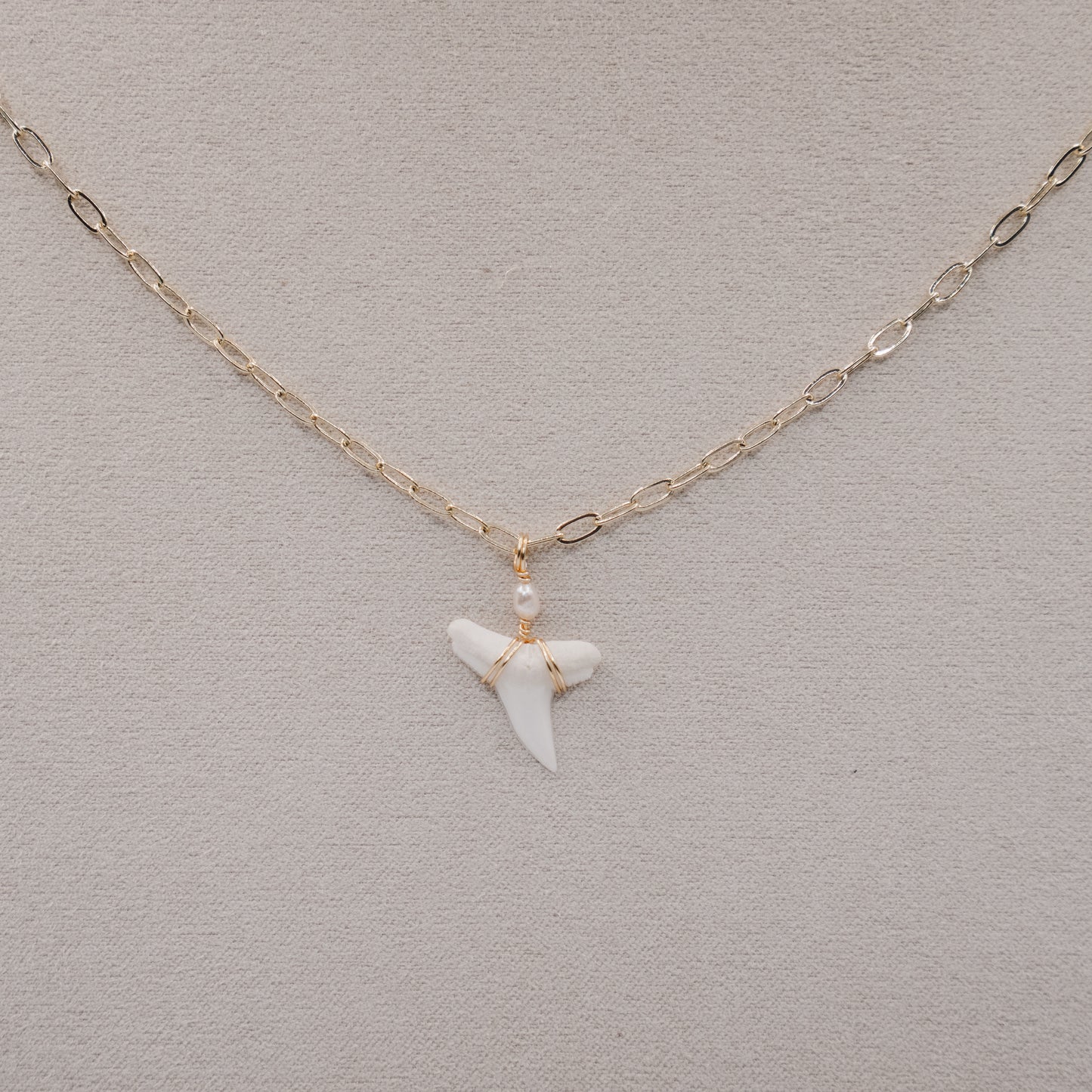 White Shark Tooth With Freshwater Pearl Necklace