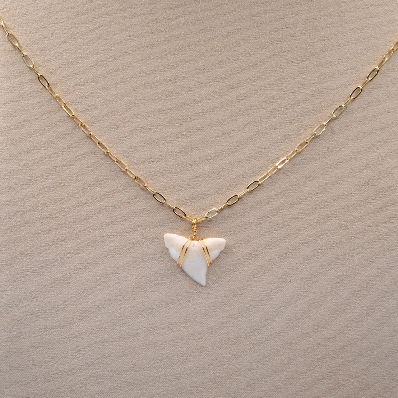 White Shark Tooth Necklace