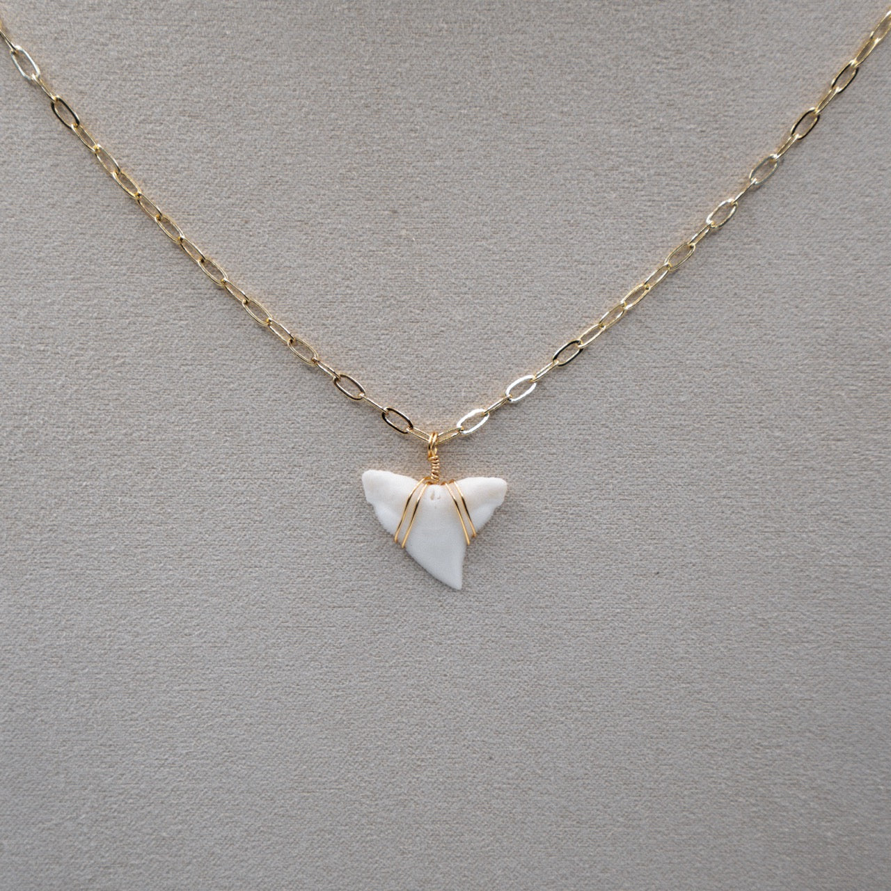 White Shark Tooth Necklace