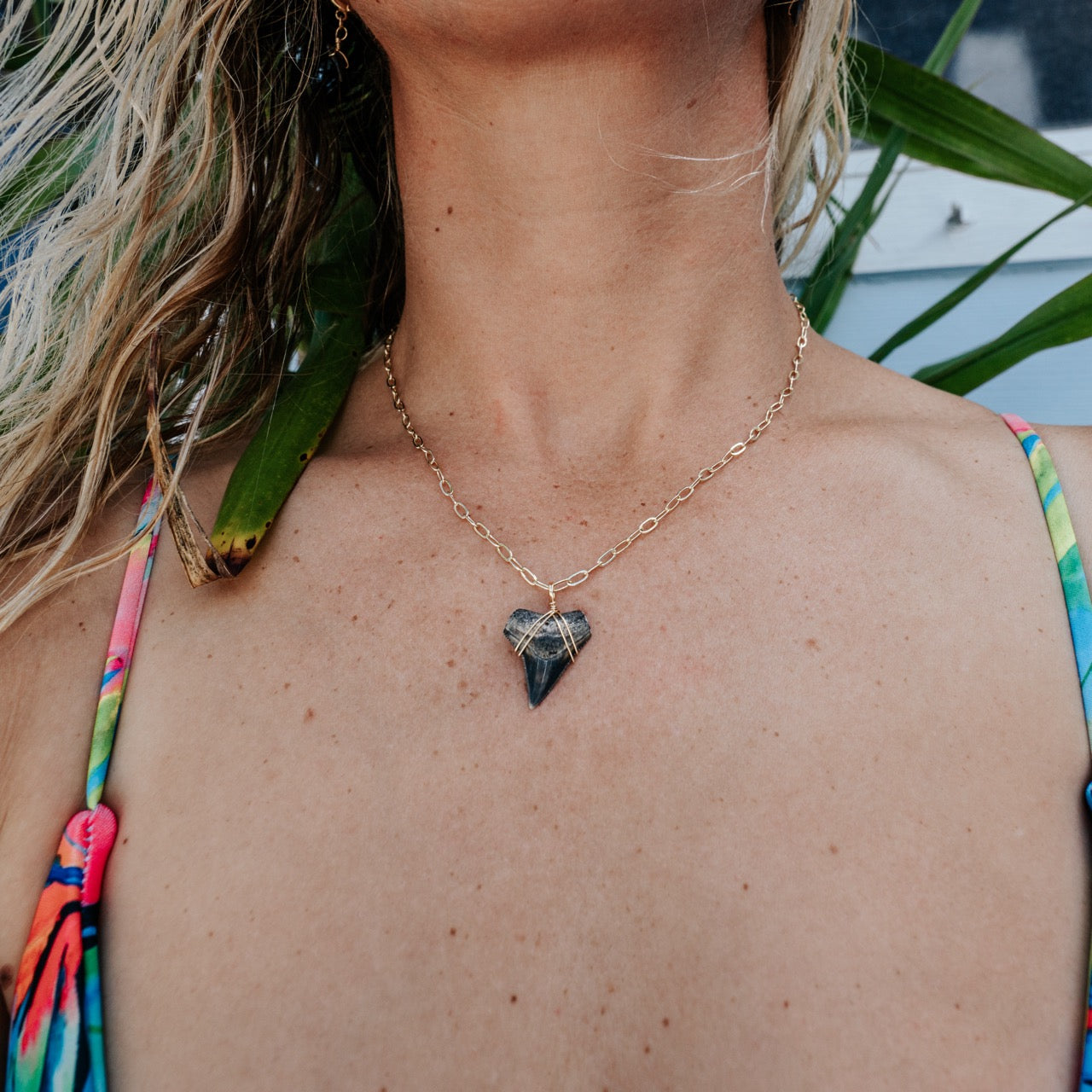 Shark Tooth Necklace