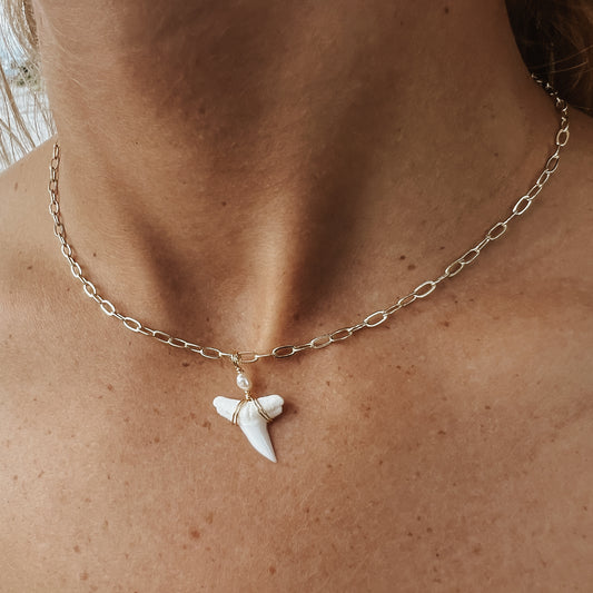 White Shark Tooth With Freshwater Pearl Necklace