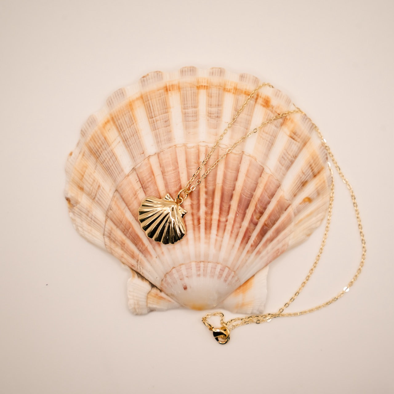 14k Gold Filled Clam Necklace