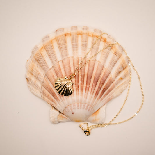 14k Gold Filled Clam Necklace