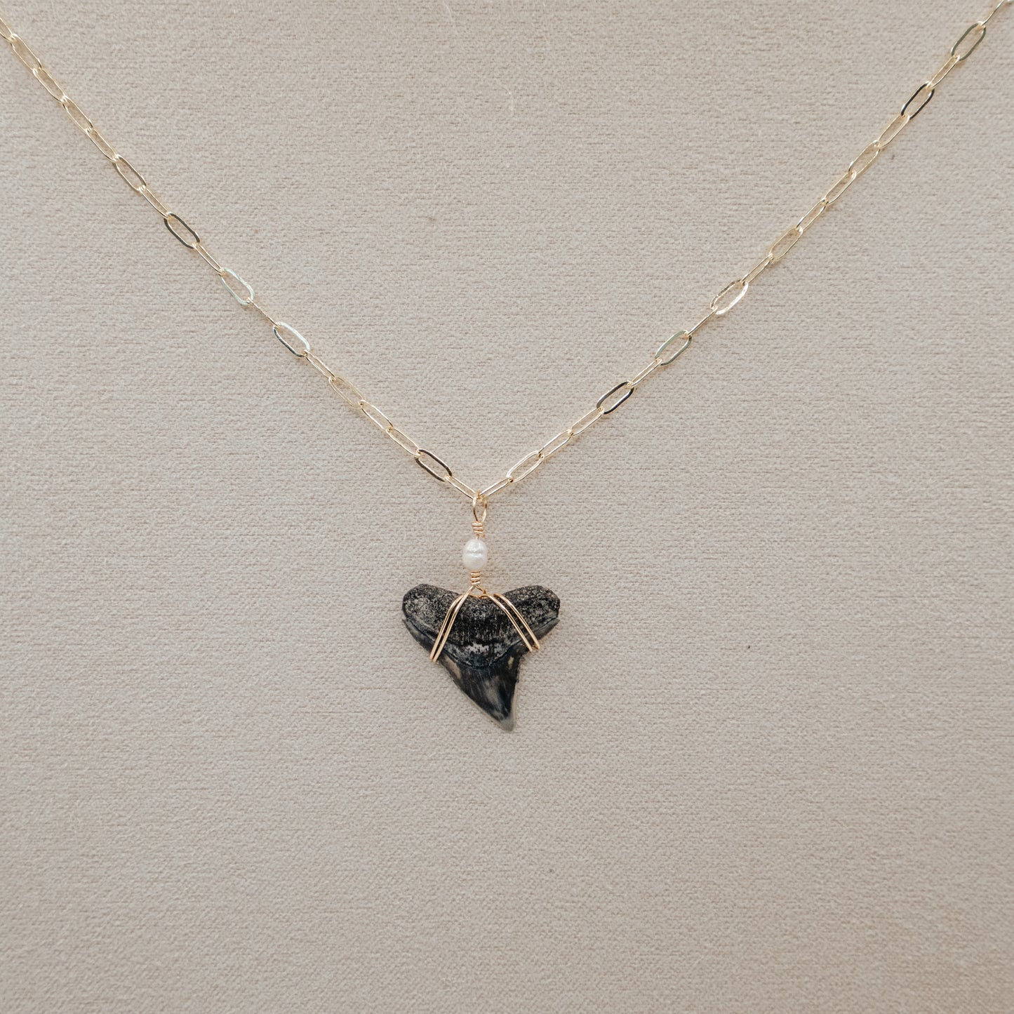 Custom Shark Tooth Necklace - Black
