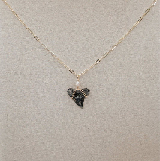 Shark Tooth Necklace w/ Freshwater Pearl