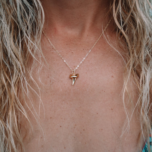 14k Gold Filled Shark Tooth Charm Necklace