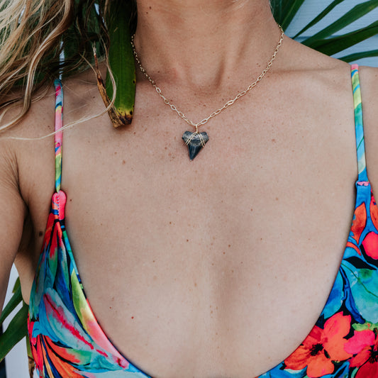 Shark Tooth Necklace